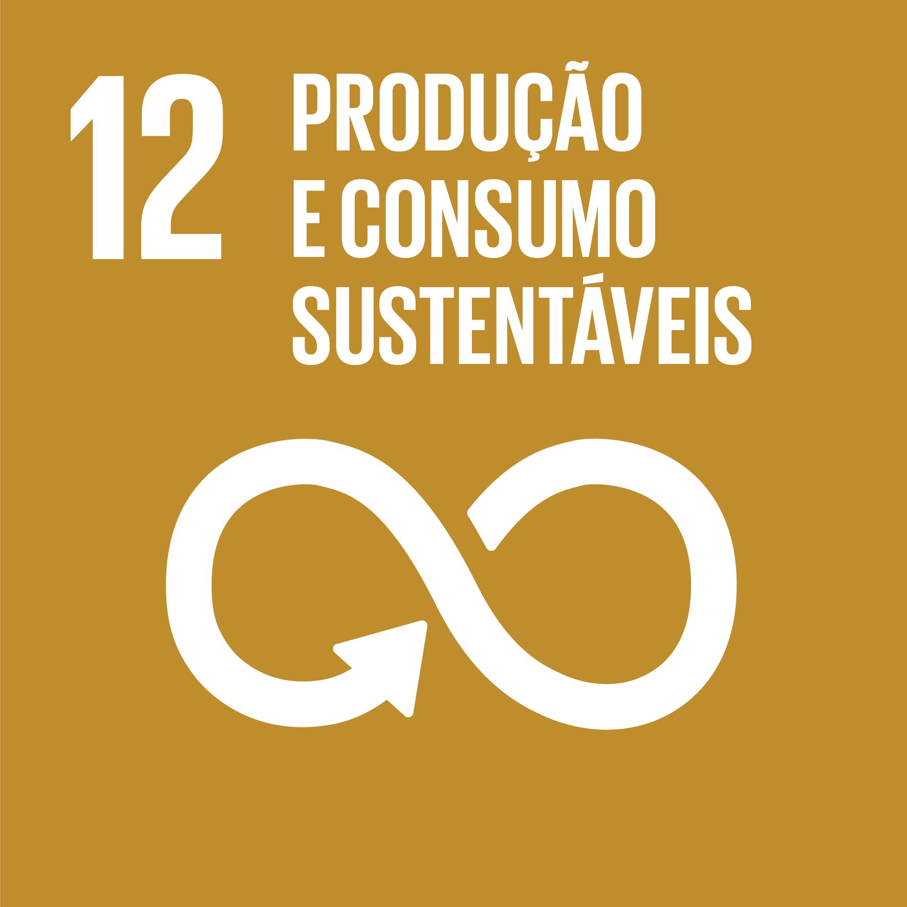 ODS 12 - Consumo Sustentável